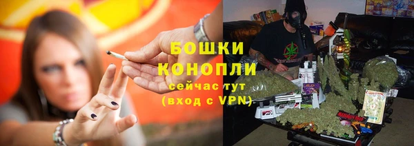 ПСИЛОЦИБИНОВЫЕ ГРИБЫ Абаза
