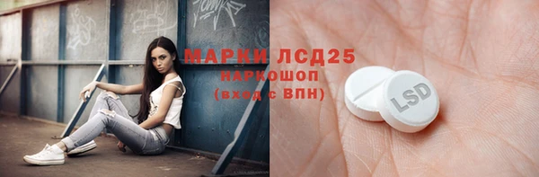 ПСИЛОЦИБИНОВЫЕ ГРИБЫ Абаза