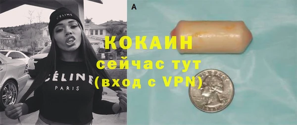ПСИЛОЦИБИНОВЫЕ ГРИБЫ Абаза