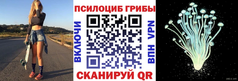 Псилоцибиновые грибы мухоморы  Дрезна 